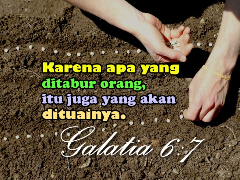 galatia67
